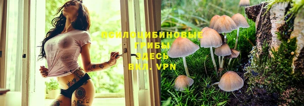 наркотики Алексеевка