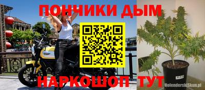 Альфа ПВП Малгобек
