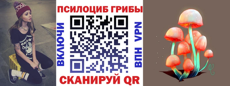 площадка телеграм  Гурьевск  Галлюциногенные грибы прущие грибы  где найти наркотики 