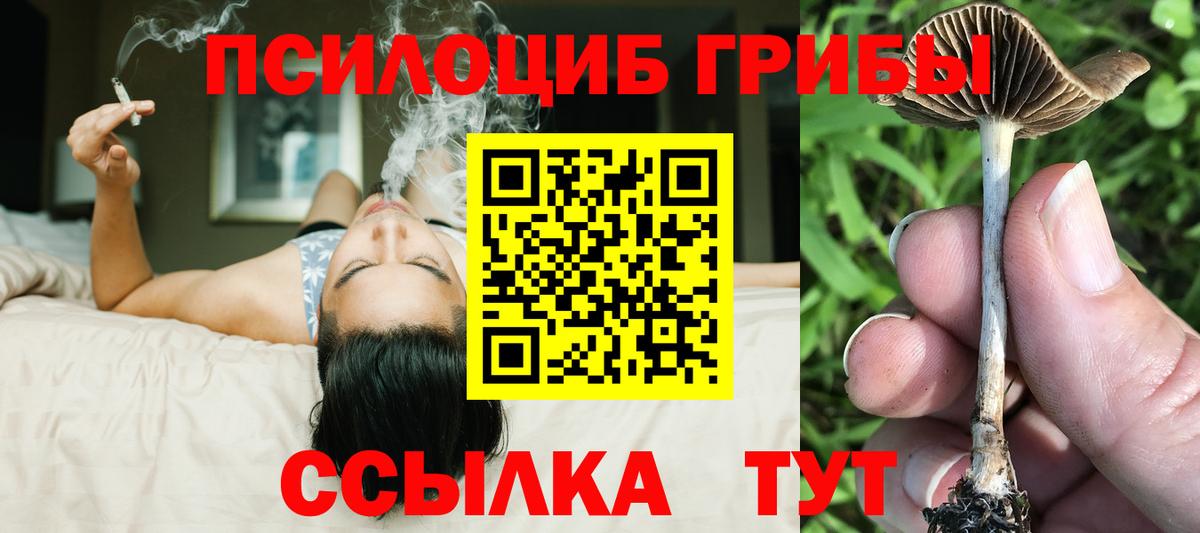 Галлюциногенные грибы прущие грибы Гурьевск